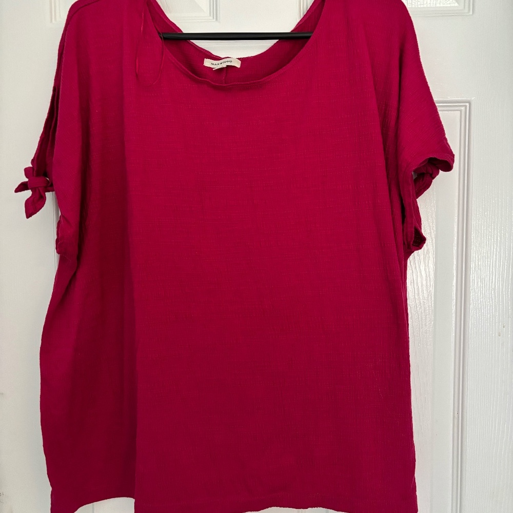 Max Studio 3X stretch Raspberry top.